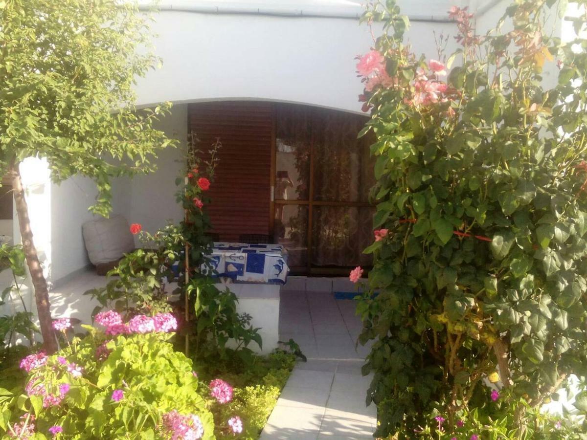 Villas Irene 5 Family Apartments Kokkini Hani Extérieur photo